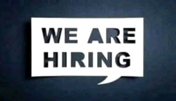 Gulf and UAE company jobs